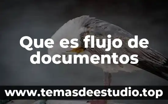 Enviar documentos paquetería que es mejor 6 Que es flujo de documentos