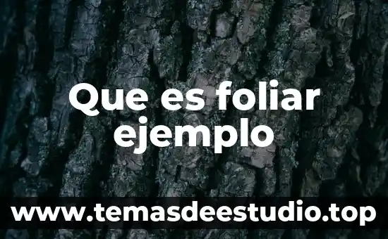 Que es el conocimiento actitudinal ejemplo 3 Que es foliar ejemplo