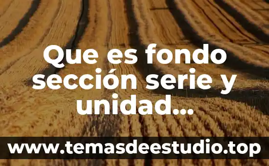 Qué es una sección en el sistema armonizado 8 Que es fondo sección serie y unidad documental