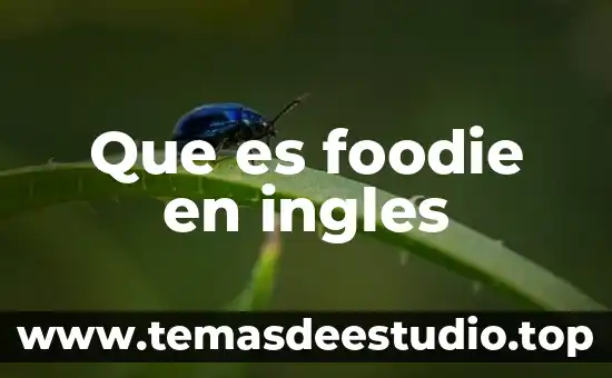 Que es foodie en ingles