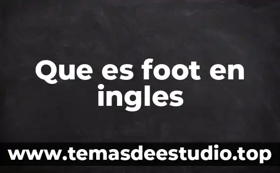 Animal en inglés que es el pigeon 6 Que es foot en ingles
