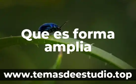 Un tiburón que es forma de martillo 7 Que es forma amplia