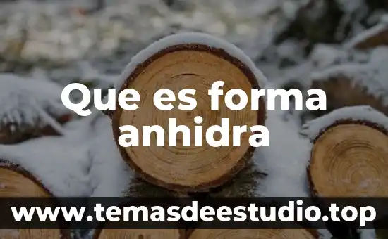 Un tiburón que es forma de martillo 3 Que es forma anhidra