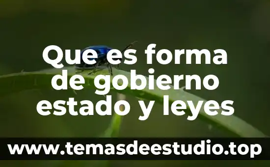 Que es forma de gobierno estado y leyes