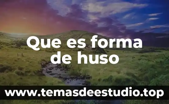 Que es el circulo que se forma alrededor del sol 8 Que es forma de huso
