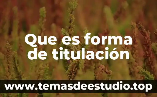 Que es titulacion en el trabajar 3 Que es forma de titulación