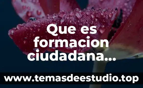 Que es formacion ciudadana relacion con la sociedad