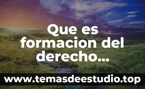 Que es la sociologia de la historia 8 Que es formacion del derecho sociologia