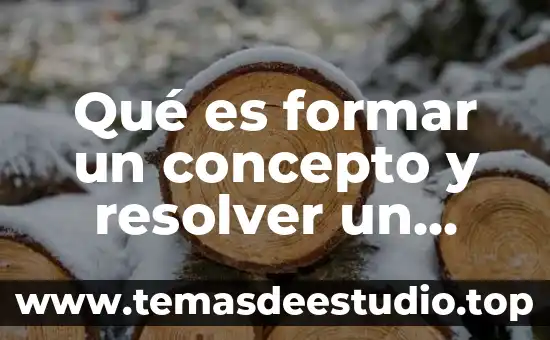 Que es la identificacion del problema a resolver 4 Qu茅 es formar un concepto y resolver un problema