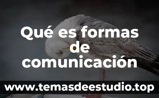Que es el codigo en la comunicacion concepto 3 Qué es formas de comunicación