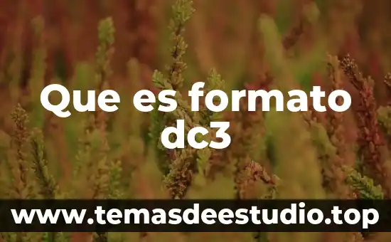 Que es formato dc3