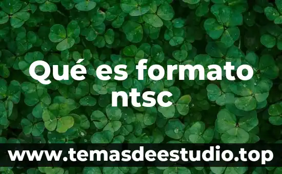 Que es el formato de r1 shcp 5 Qué es formato ntsc