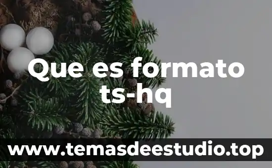 Qué es un formato de ludograma 4 Que es formato ts-hq