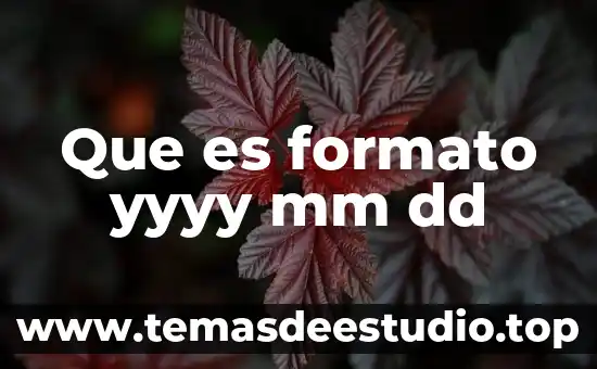 Que es mejor ponerse bracket dd arriba primero 6 Que es formato yyyy mm dd