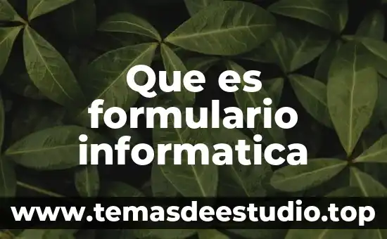 Que es formulario informatica