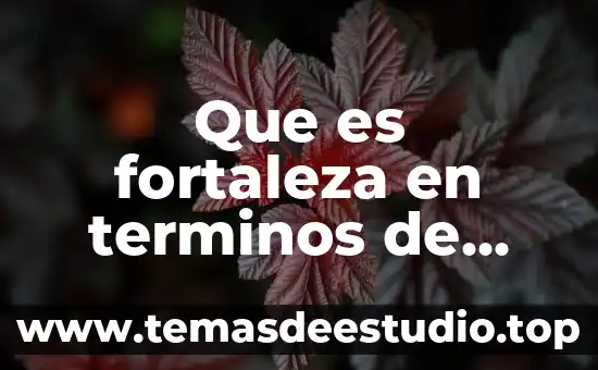 Que es fortaleza en terminos de soldados
