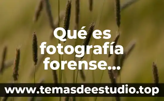 Qué es fotografía forense definición