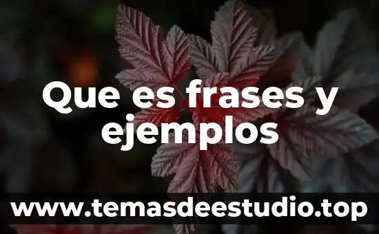 Que es definición ejemplos 5 Que es frases y ejemplos