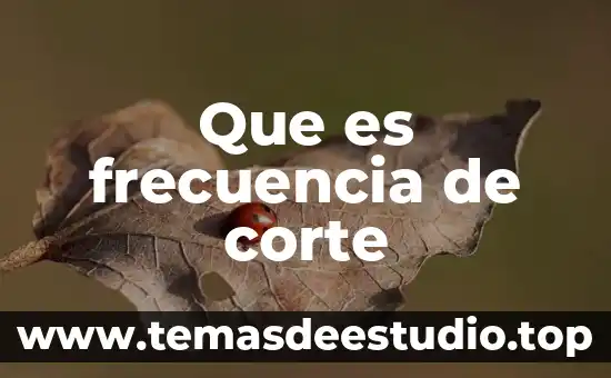 Que es el corte vinil playeras 3 Que es frecuencia de corte
