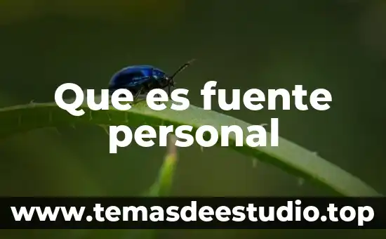 Que es suministro de personal 4 Que es fuente personal