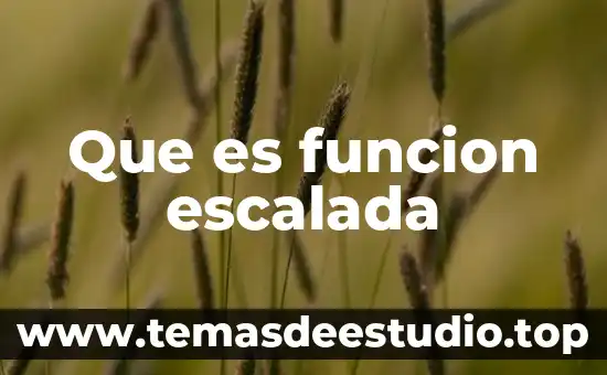 Qué es la insulina función 6 Que es funcion escalada