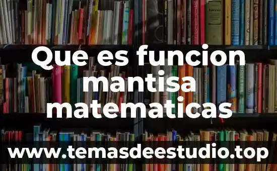 Que es la función en arquitectura 7 Que es funcion mantisa matematicas