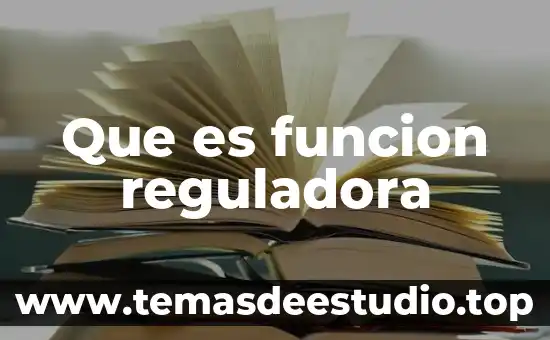 Que es una planta reguladora hidraulica 6 Que es funcion reguladora