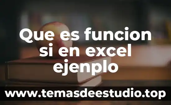 Qué es la insulina función 3 Que es funcion si en excel ejenplo