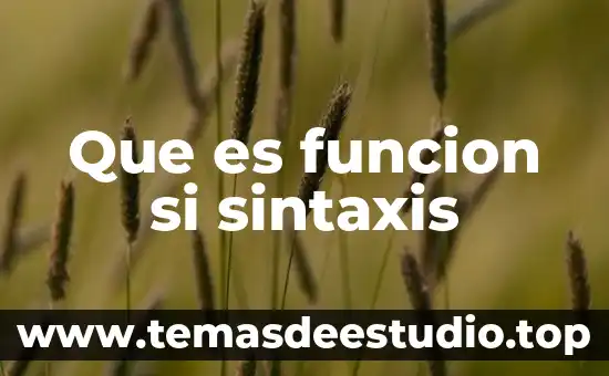 Que es funcion si sintaxis