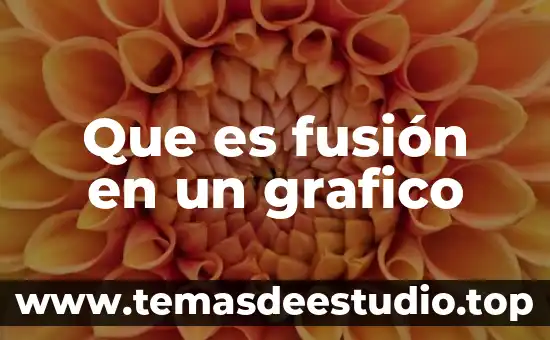 Que es un diseñador gráfico del arte 3 Que es fusión en un grafico