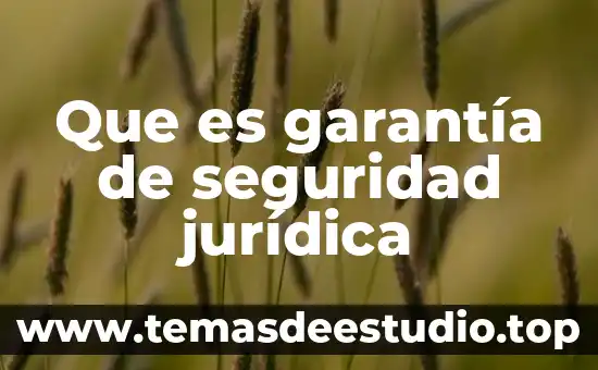 Que es garantia de conocimiento en filosofia 4 Que es garantía de seguridad jurídica