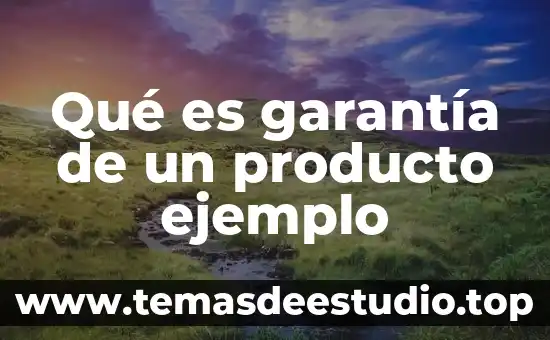 Qué es cultura moderna y ejemplo 5 Qué es garantía de un producto ejemplo