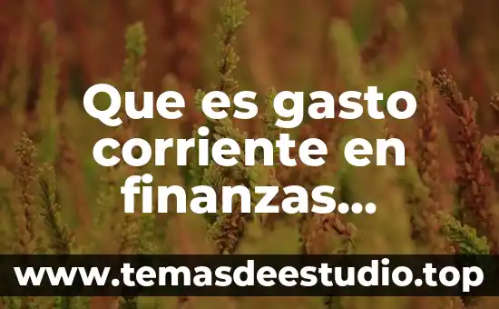 Que es el patrocinio en las relaciones publicas de mercadotecnia 3 Que es gasto corriente en finanzas publicas