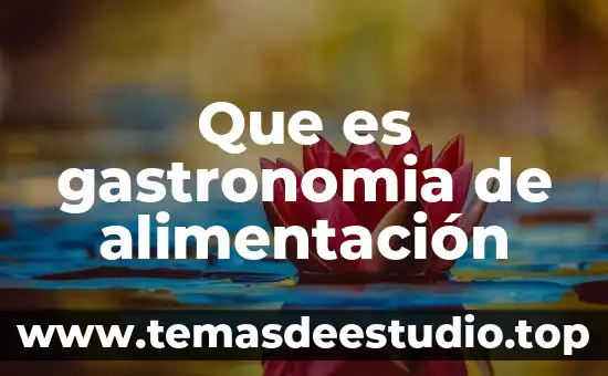 Gastronomía de Asia técnicas e ingredientes que es de Francia 8 Que es gastronomia de alimentación