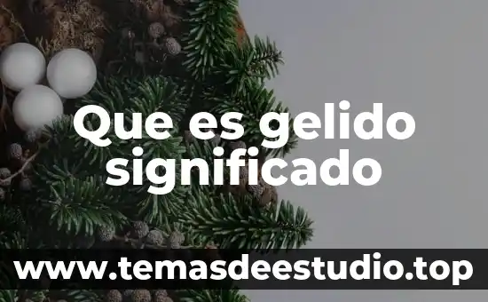 Que es significado de sentido social 5 Que es gelido significado