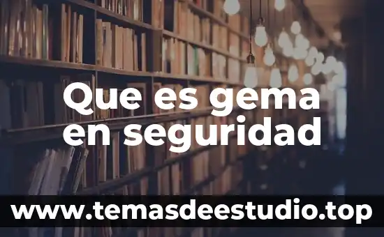 Que es seguridad del neonato 4 Que es gema en seguridad