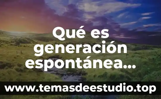 Qué es generación espontánea definición