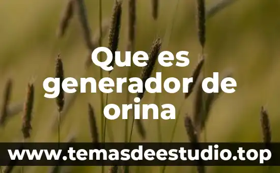Qué es un elemento de maniobra 3 Que es generador de orina