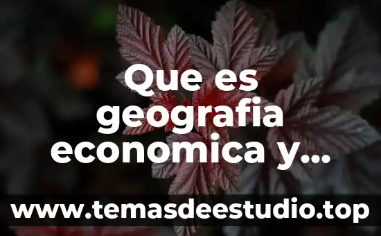 Qué es la política económica concepto 7 Que es geografia economica y ramas economicas