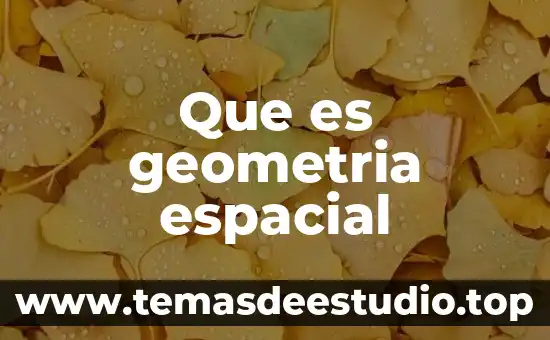 Que es geometria del diseño 4 Que es geometria espacial