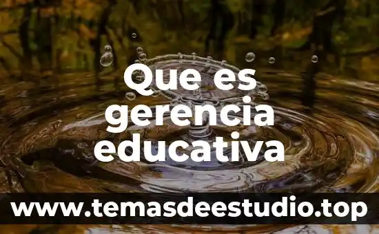 Que es gerencia educativa