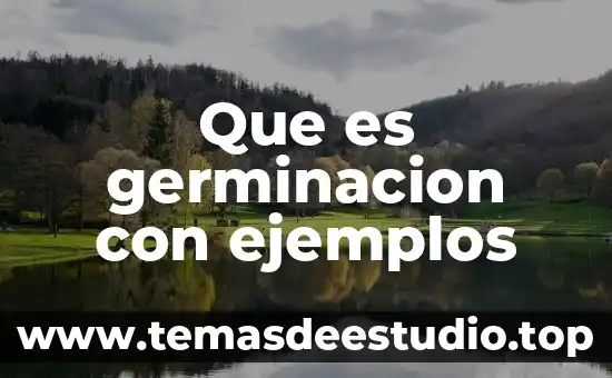 Qué es un ambiente confuso 6 Que es germinacion con ejemplos