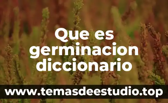 Que es significa inah en el diccionario 5 Que es germinacion diccionario