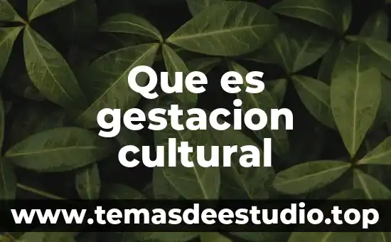 Que es gestacion cultural