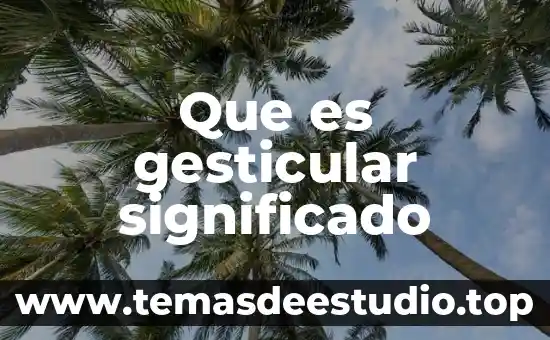 Qué es el significado brunner 6 Que es gesticular significado