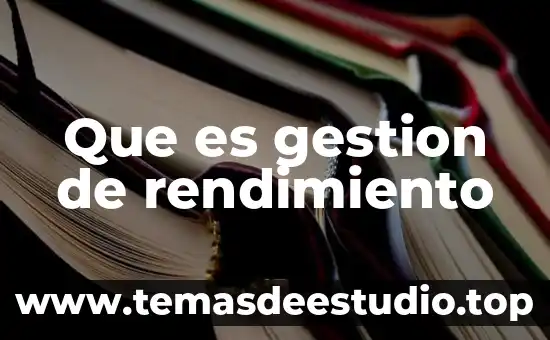 Que es gestion de rendimiento