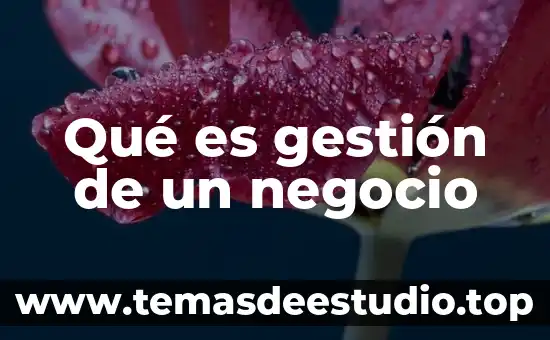 Qué es la gestión de riesgos concepto 6 Qué es gestión de un negocio