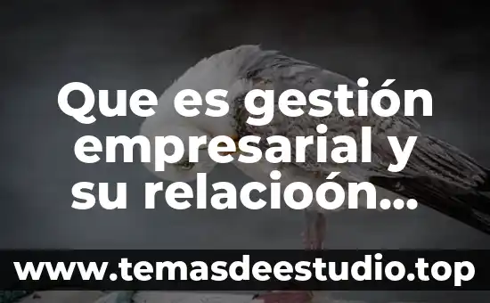 Qué es la cultura empresarial fyle type 6 Que es gestión empresarial y su relacioón con otras ciencias