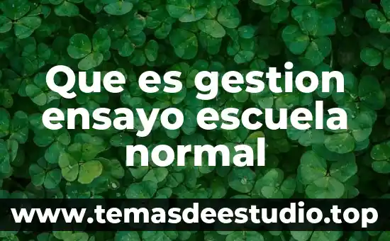 Que es gestion ensayo escuela normal