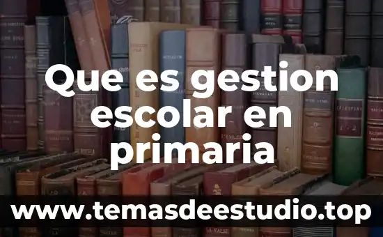 Qué es moda escolar 4 Que es gestion escolar en primaria